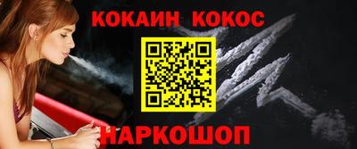 индика Камышлов