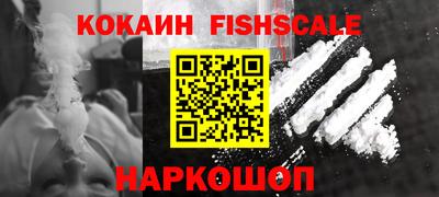 индика Камышлов