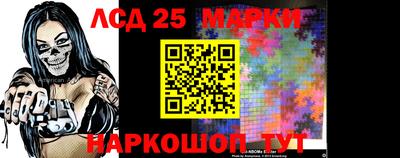 индика Камышлов