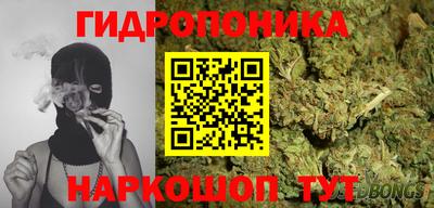 СК Канаш
