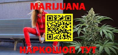 индика Камышлов