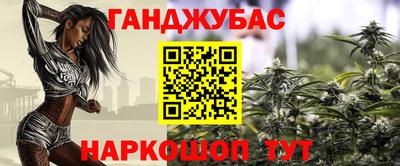 индика Камышлов