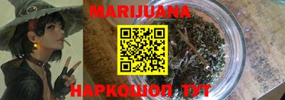индика Камышлов