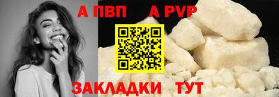 индика Камышлов