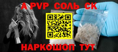 индика Камышлов