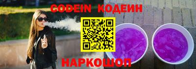 индика Камышлов