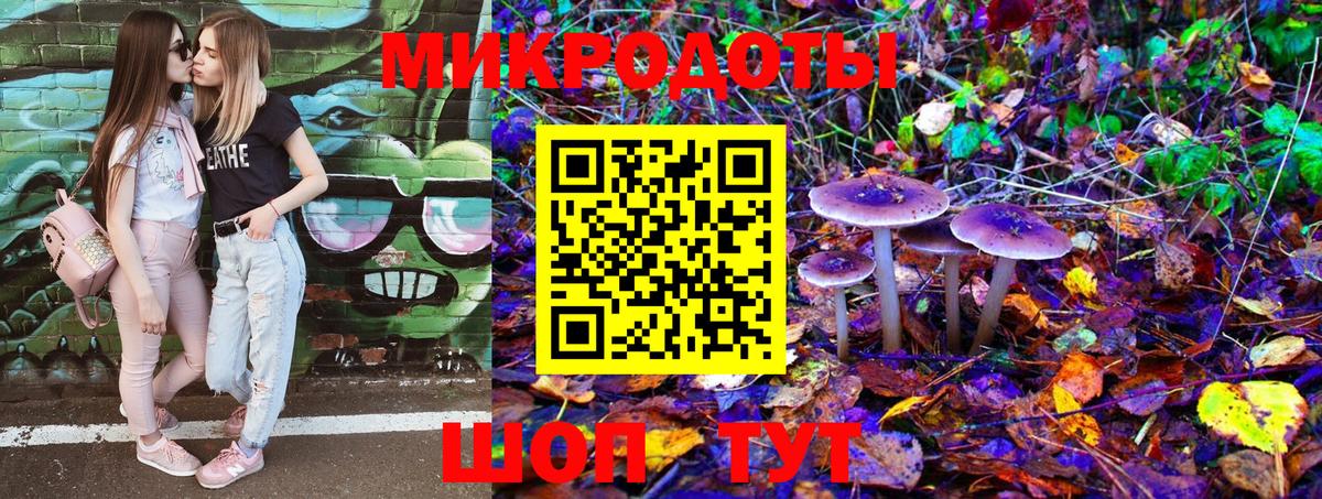 Иркутск  купить наркотики сайты  Вход с VPN  Галлюциногенные грибы Psilocybe 